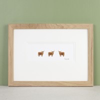 Print - Highland Cows in profile